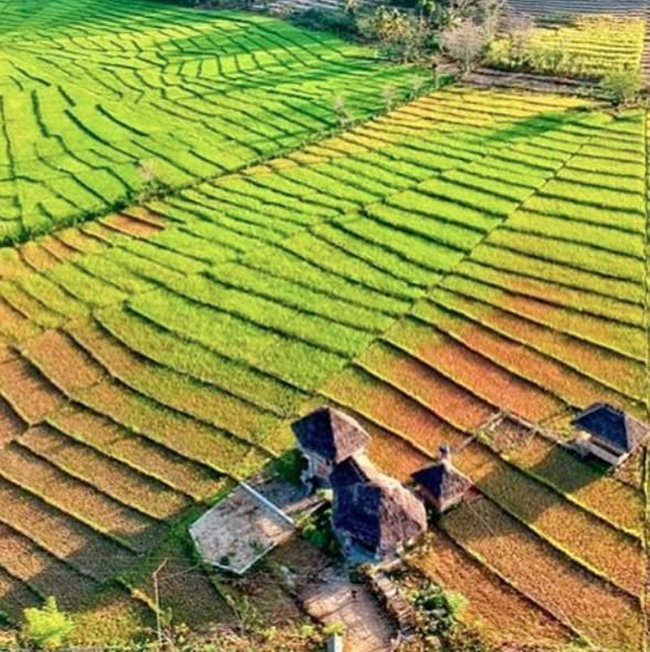 Tado Homestay Limbung Bagian luar foto
